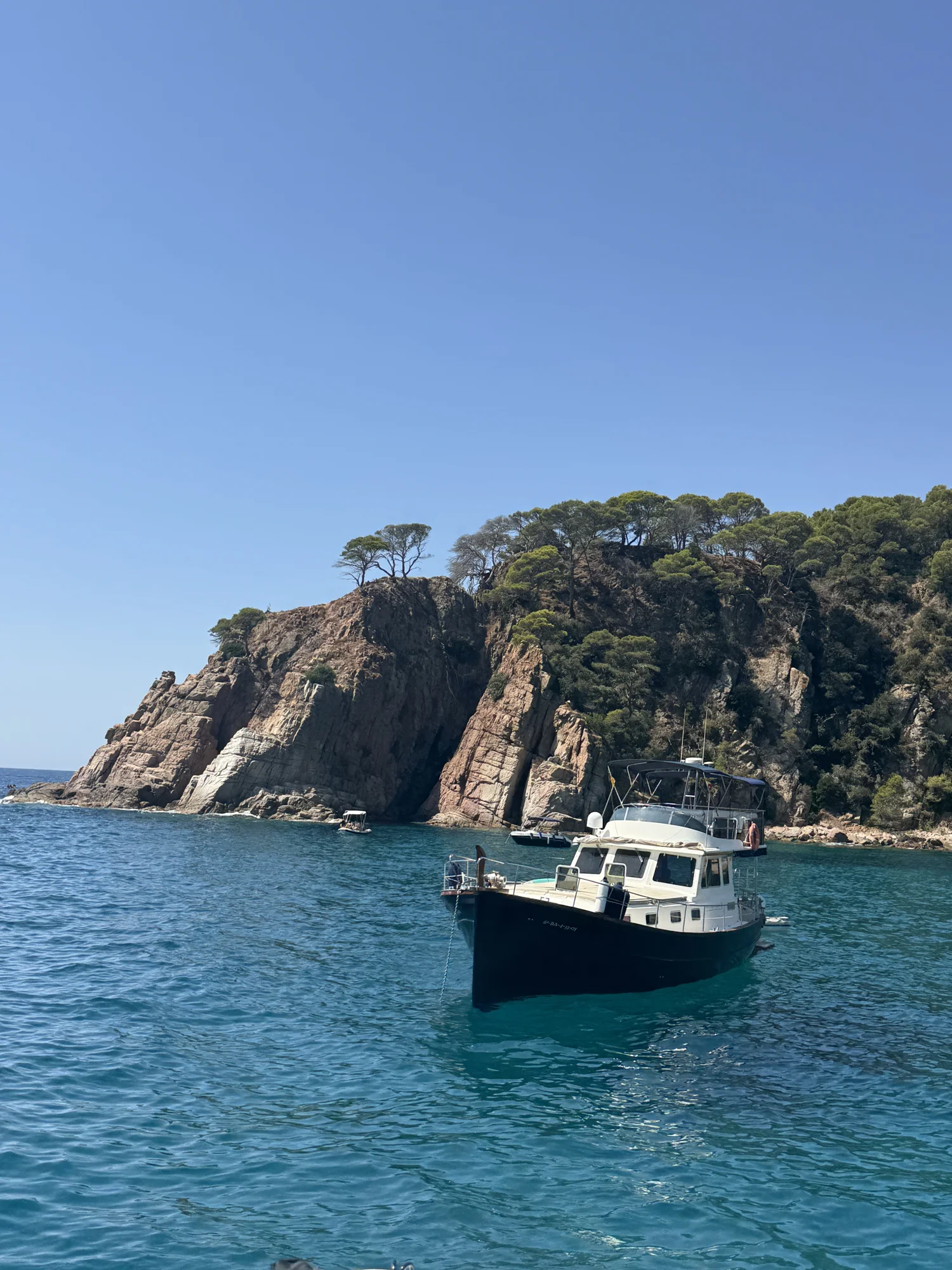 Alioth, Menorquín clásico de casco azul en el Mediterráneo
